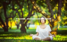 熊猫体育app下载：意足协主席明确，世界杯附加赛不改意甲赛程，联赛完整性优先